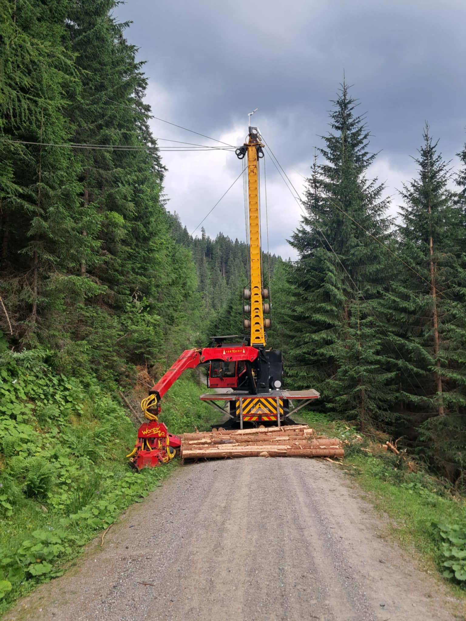 Gebirgsharvester Mounty 4000